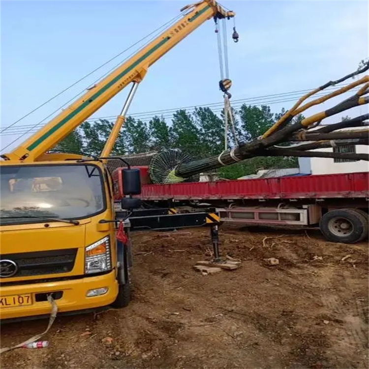 三伏潭镇100吨吊车租赁费用怎么算？3大关键因素+省钱技巧全解析